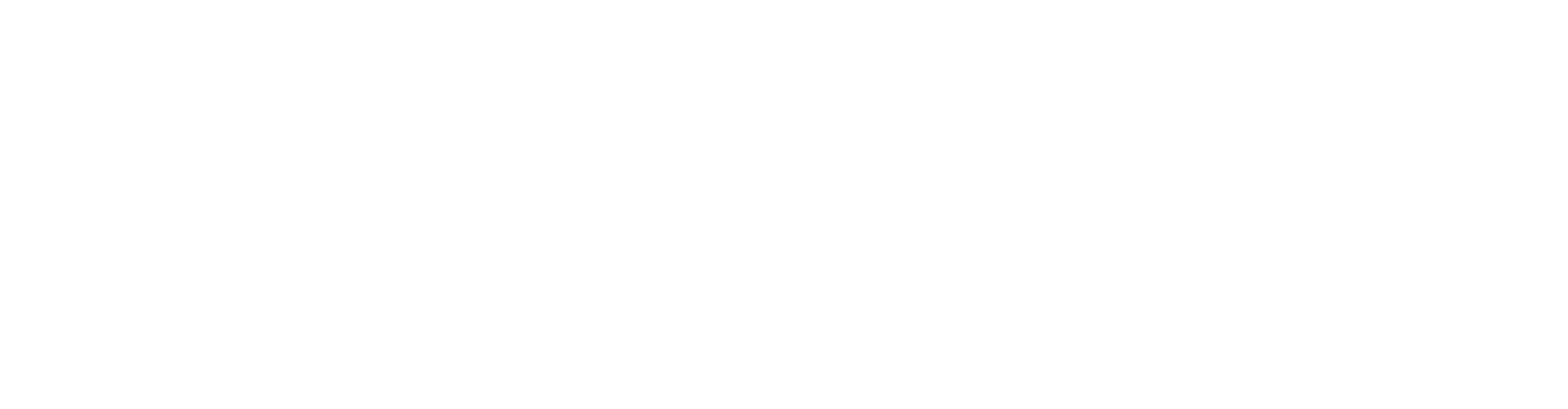 Dr_Wirth_Logo_Text_DE_final