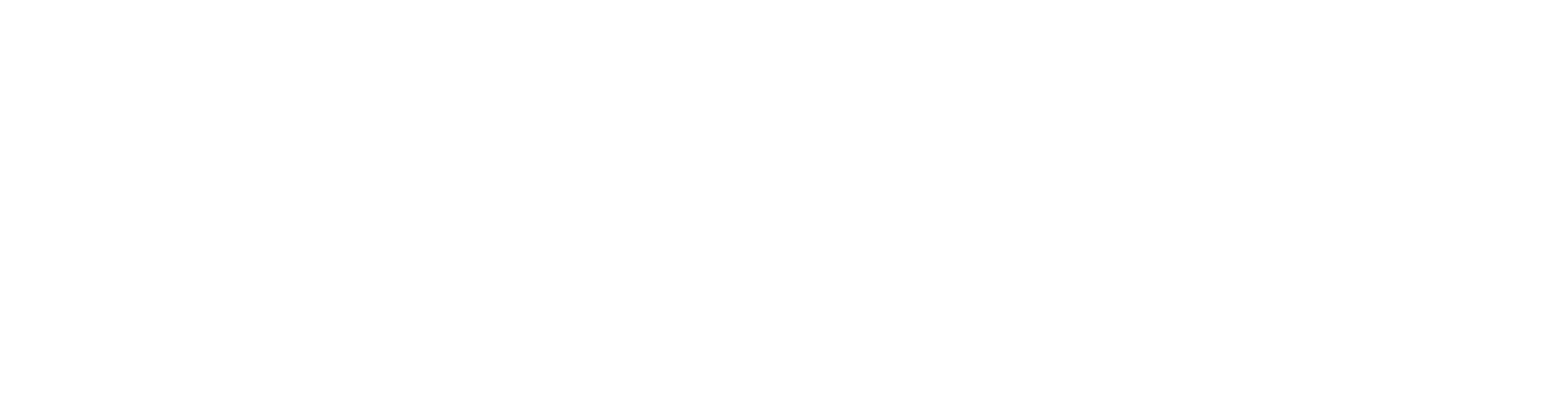 Dr_Wirth_Logo_Text_FR_final